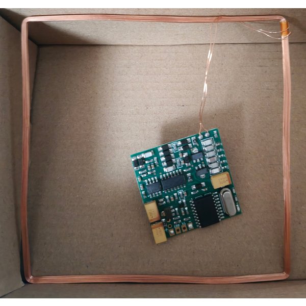 134.2K FDX-B Langstrecken-Tierkennzeichnungslesemodul ISO11784/85 TTL