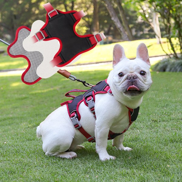 HarNISSAN-Fournitures de marche en plein air pour animaux de compagnie, pas de côtes, bouledogue français, SFP avec poignée, petits et moyens chiens, coulée, chien de bain