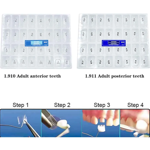 Couronnes dentaires temporaires transparentes préformées, matrices postérieures pour adultes et enfants, kit professionnel pour dentistes