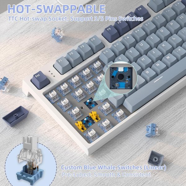 Rk86 drahtlose mechanische Tastatur, 75% tkl Hot-Swap-fähige Tri-Mode-Gaming-RGB-Tastatur mit Hintergrund beleuchtung, Dichtung halterung mit LED-Smart-Displ