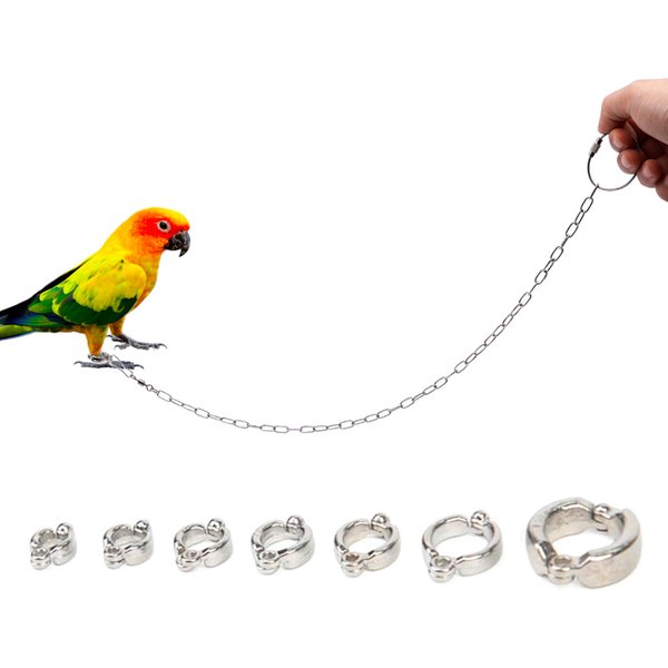 Anneau de pied en acier inoxydable pour perroquet, anneau d'activité d'ouverture, inséparable, calopsitte, perruche, support d'oiseau, cheville, anneaux de jambe d'oiseau