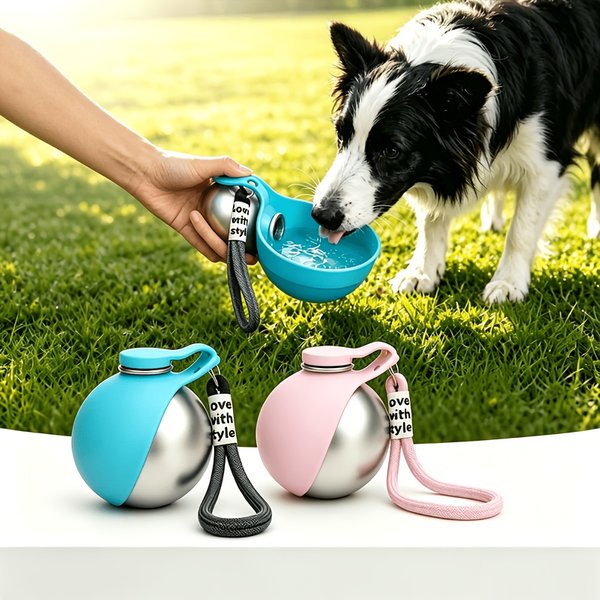 Hunde-Wasserflasche aus Edelstahl 285ml Tragbarer Hunde-Trinker Auslaufsicherer Futterautomat Hundeflasche 2-in-1 Silikonschüssel Reise-Haustierzubehör