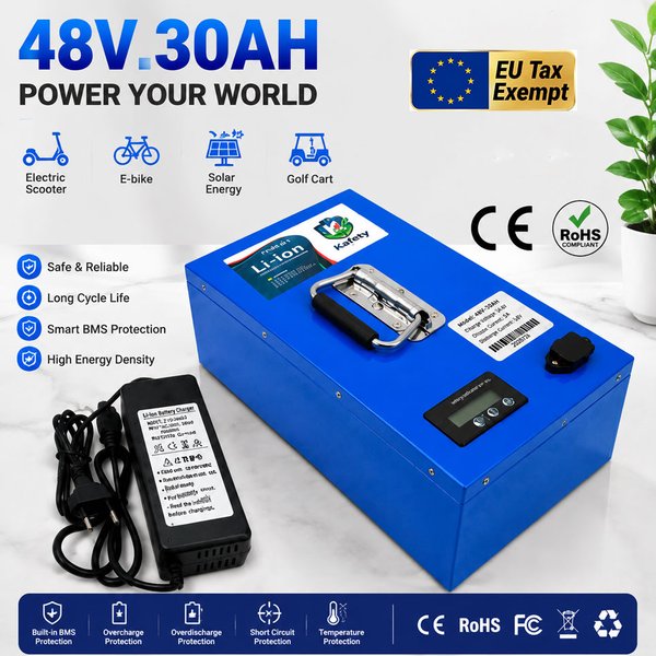 Schneller Lufttransport Neue Vollkapazitäts-18650-Lithiumbatterie 48V 30AH-100AH Lithium-Batteriepack Geeignet für 250-3000W