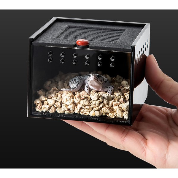 Pet Spider Box Reptile Crawling Pet Feeding Lizard Silkworm Baby Scorpion Unicorn Beetle Insect Pet House Black Acrylic Box