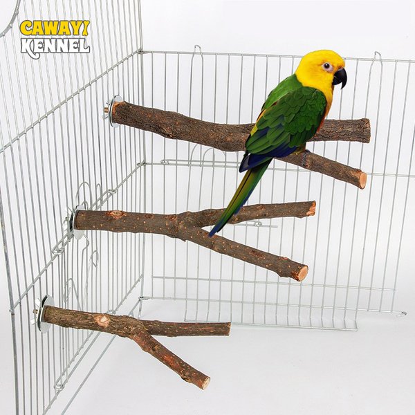 Parrot en bois naturel pour animaux de compagnie, fourchette en bois brut, support de branche d'arbre, écureuil, oiseau, branche de Hamster, perchoirs, jouet à mâcher, StickD9091, 15/20/30cm