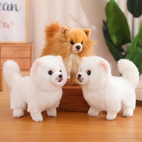 Nouveau chien poméranien en peluche mignon de qualité supérieure, animaux de toilette de la vie réelle, chiot doux, poupée pour enfants filles, joli cadeau