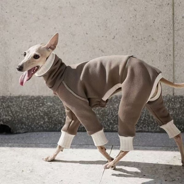 Hundekleidung, Haustier-Plüsch, warm, Stehkragen, vierbeinige Kleidung, leicht elastisch, kleine Lingti-Huibit-Kleidung, vierbeinige warme Basis