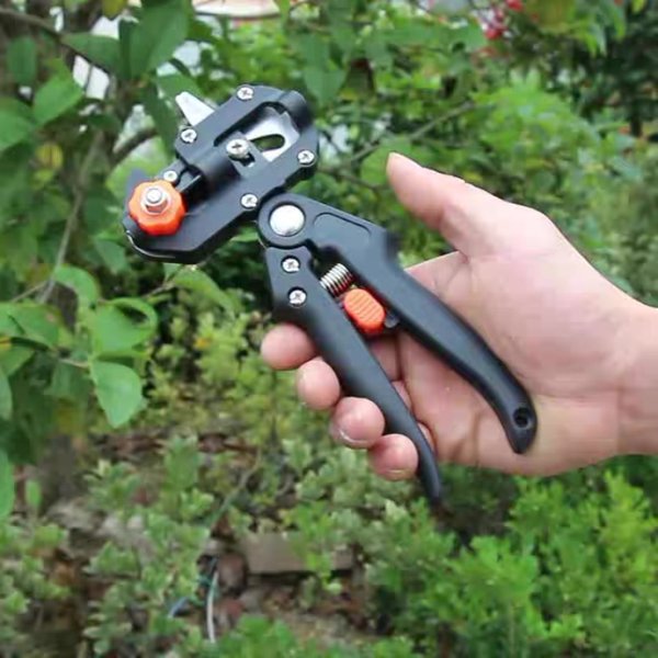 Ciseaux de jardinage, film de greffage, outils de greffage pour semis de jardin et arbres fruitiers, appareil de greffage