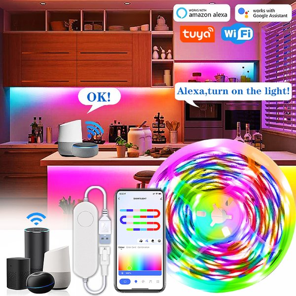 TUYA LED Strip Light Smart Wifi RGBIC Dreamcolor Ribbon Lighting USB 5V WS2812B Adresowalna lampa świetlna Obsługa Alexa Google