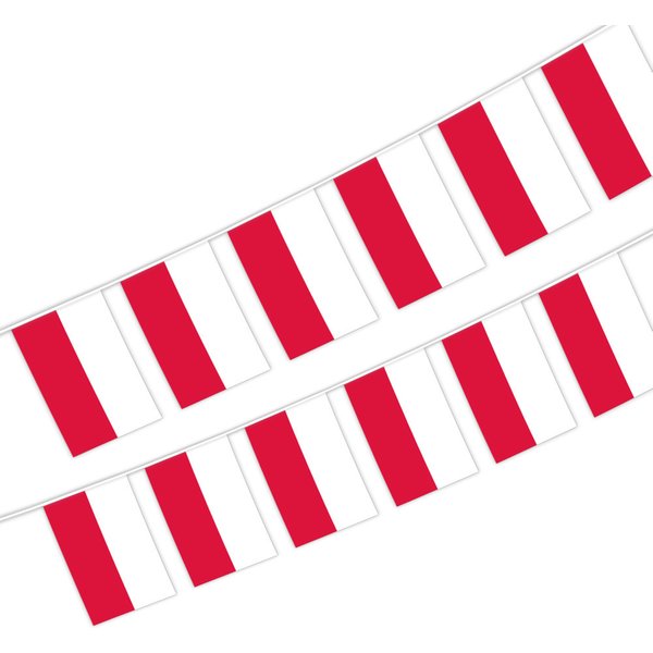 Aerlxemrbrae 20pcs/lot Poland Bunting Flags 14x21cm Pennant Poland String Banner Buntings Festival Party Holiday