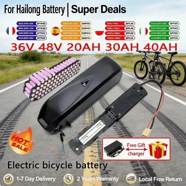 48V 36V 20Ah 30Ah 40Ah E-Bike-Akku Hailong Max 40A 50A BMS 500W 750W 1000W 1500W Elektroroller 21700 Lithiumzelle