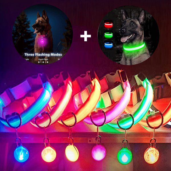 Collier lumineux pour chien avec pendentif détachable, rechargeable par USB, lumière LED de luxe, lumineux pour petits chiens et chats, collier de sécurité nocturne, vente en gros