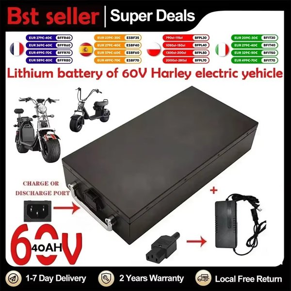60V 40Ah Lithium-Akku für Elektromotorräder, 2000W Hochleistungsmotor geeignet für Harley Davidson Folding Citycoco Elektroroller, inklusive kostenlosem Ladegerät