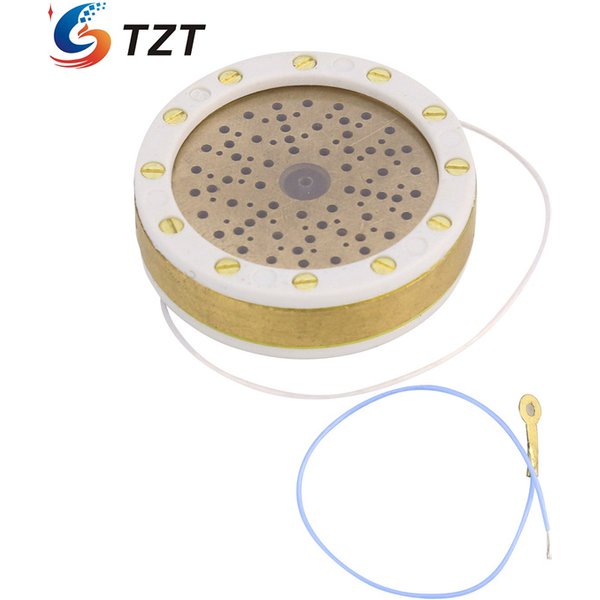 TZT RK-47 34MM Large Diaphragm Condenser Mic Capsule HiFi Audio Microphone Capsule for Recording
