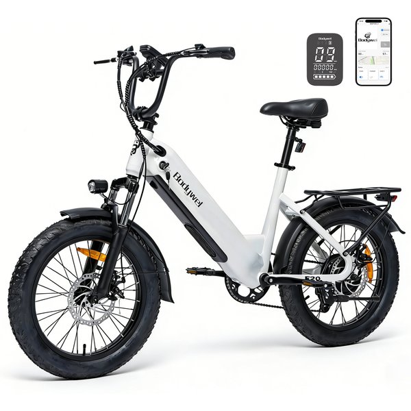 Bodywel F20 250W Elektrofahrrad 20' X 3.0' Fat-Reifen 48V 15Ah Abnehmbarer Akku Reichweite bis zu 80km Tretlader City Commuter E-Bike