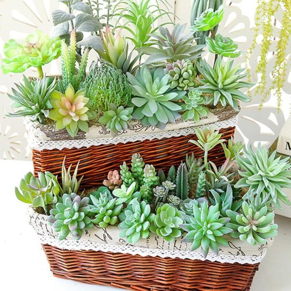 Künstliche Sukkulenten Pflanzen Premium Gefälschte Mini Beflockung Realistische Kaktus Lotus Landschaft Garten Unpotted Desktop Decor 20 teil/los