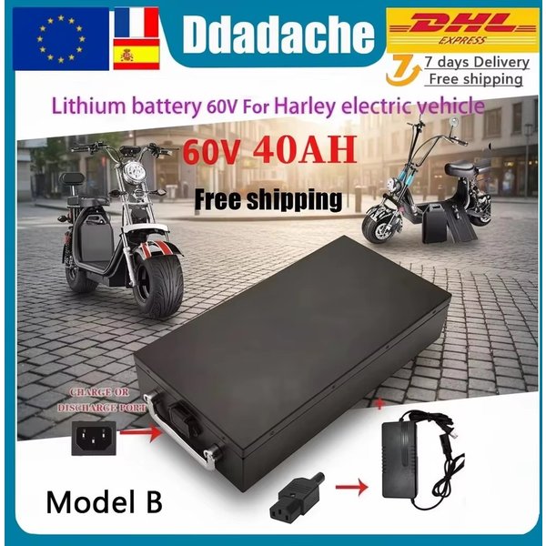 60V 20Ah-100Ah 2000W Lithium-Batterie für Elektrofahrzeuge für Harley Zweirad-Falt-Elektroroller Citycoco mit kostenlosem Ladegerät