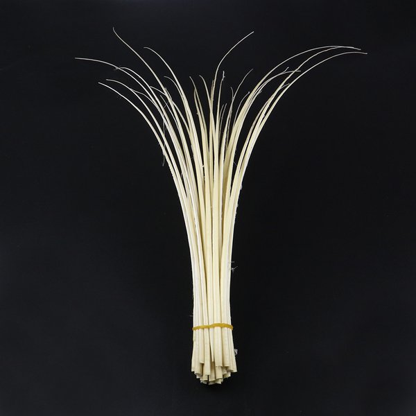 Plumes d'autruche dures pour vêtements de sauna, accessoires de chapeau, plumes d'autruche, colonne vertébrale pour bricolage, 11 couleurs sélectionnées, 45-55cm, lot de 10 pièces