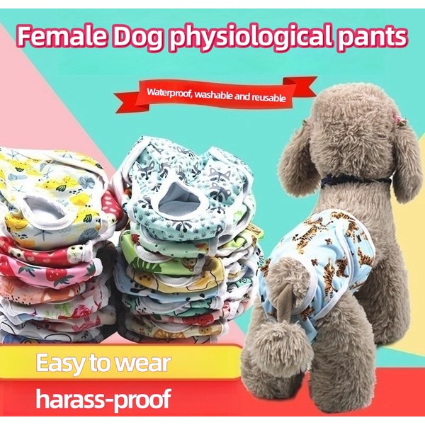 Wasch bare weibliche Haustier Physiologie Hosen gedruckt Anti-Ärgernis Windel einfach zu tragen und wieder verwendbar geeignet für menstruie rende Mädchen Hund