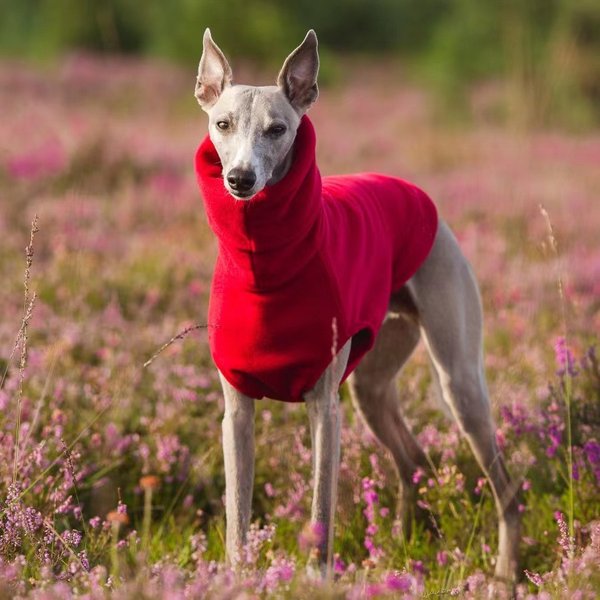 Zimowa kamizelka z polaru Whippet Włoski ogier Ubrania z golfem Ubrania dla psów Miękkie ubrania z polaru