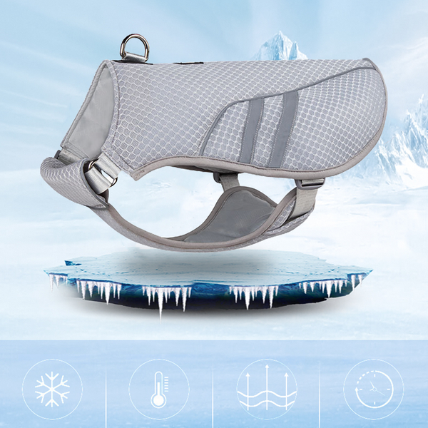 Veste rafraîchissante SFP pour animaux de compagnie, vêtements d'été, respirants, pour l'extérieur, accessoires pour petits et grands chiens