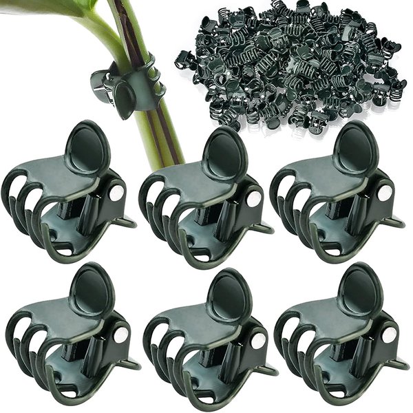 10/50/100 PIÈCES Pinces de Soutien Végétales Vert Foncé à 6 Griffes pour Orchidées, Fleurs, Tiges Grimpantes, Branches et Liens – Outil de Jardinage