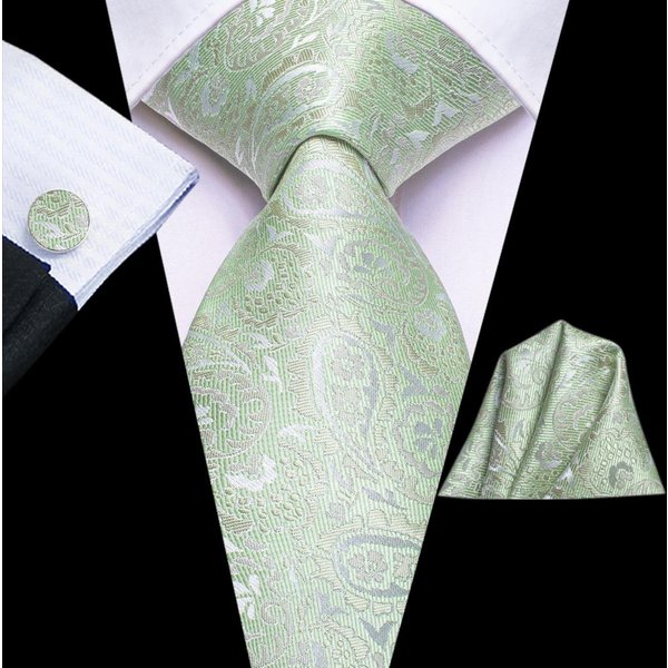 Paisley Sage Green 2022 New Fashion Brand Ties for Men Wedding Party Necktie Set Handky Cufflinks Gift Wholesale Hi-Tie Dropship