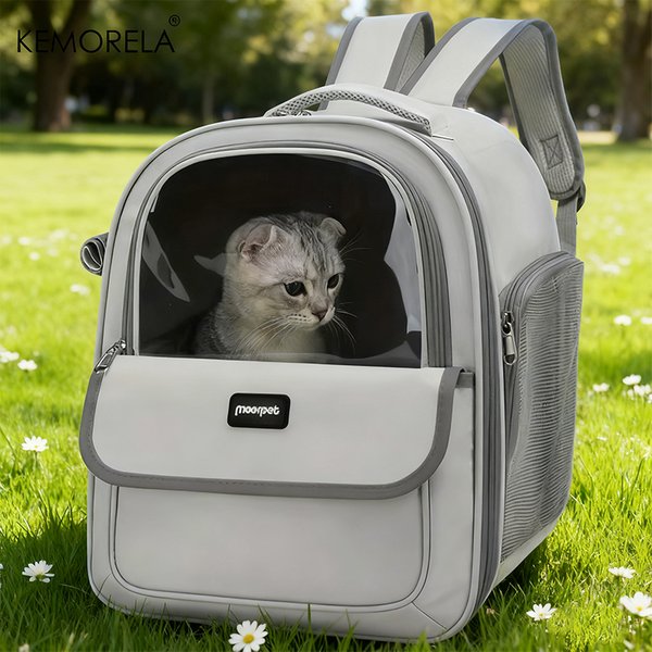 Großer, atmungsaktiver Mesh-Rucksack, tragbar, faltbar, für Haustiere, für Hunde und Katzen, Outdoor-Reisen, Camping, Wandern