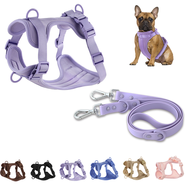 Harnais et laisse pour chien double en PVC, confortables et respirants, avec sangle de poitrine réglable - Harnais et laisses