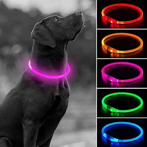 Collier de chien Led Usb collier de Charge lumineux de nuit pour chien de compagnie Led sécurité nocturne clignotant lueur collier de prévention de perte de chien accessoire pour animaux de compagnie