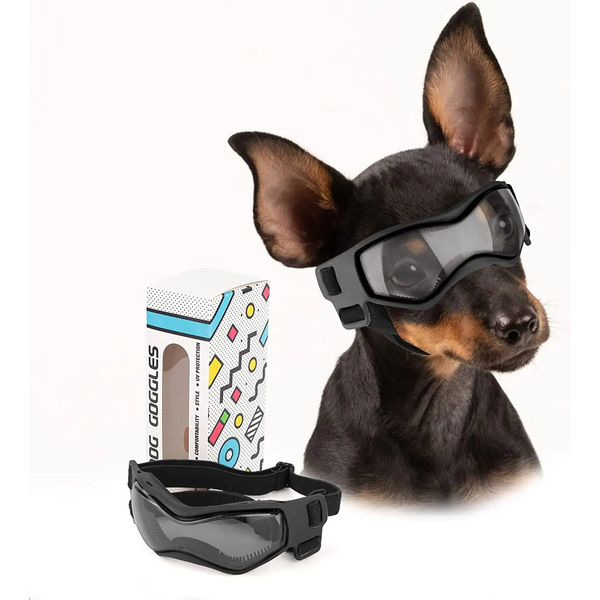 Lunettes de Protection UV pour chiens et chats, lunettes de soleil Cool pour petits et moyens chiens, accessoires d'équitation en plein air pour animaux de compagnie