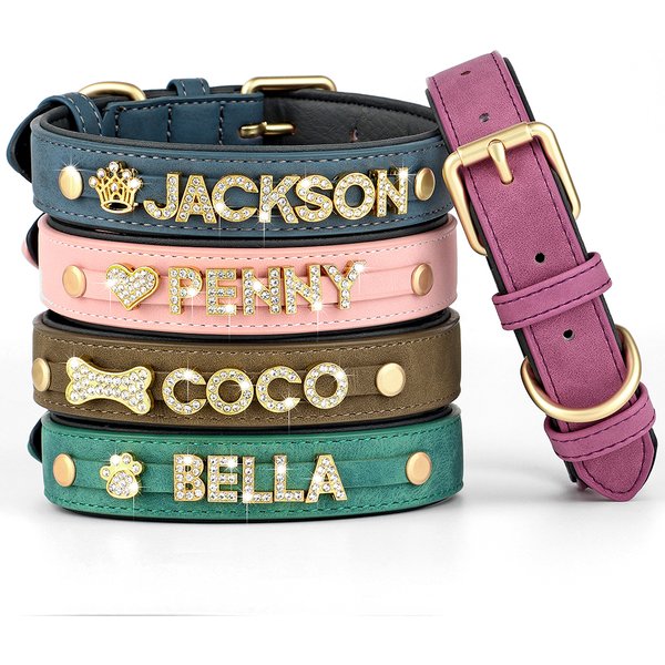 Collier en cuir personnalisé pour petits et moyens chiens, breloques de bricolage, nom gratuit, accessoires pour animaux de compagnie, Chihuahua, Pitbull