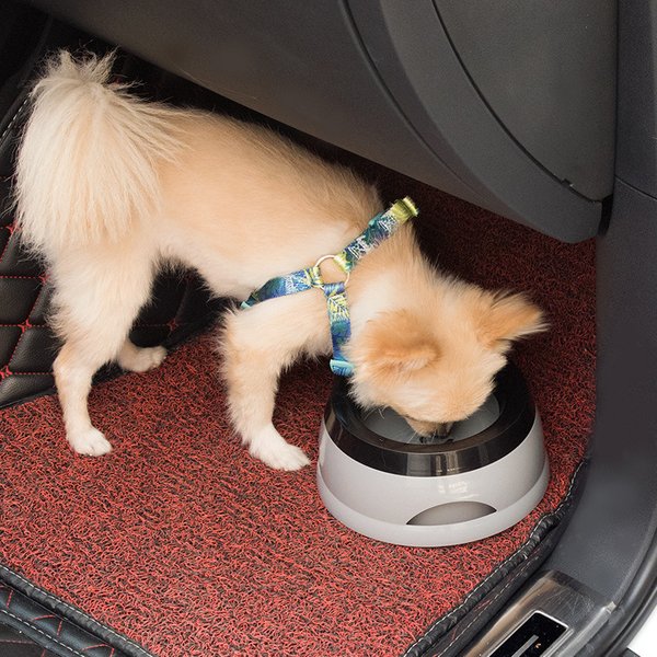 Haustier Auto gelangen Schüssel Anti-slip Anti-splash Nicht-nass Mund Schwimmenden Schüssel Katze Hund Liefert Hund trinken Schüssel Hunde Lebensmittel Container