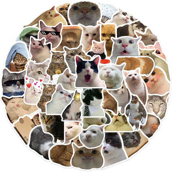 50 pièces chat chien MEME animaux drôles autocollant Graffiti bricolage enfants jouets téléphone portable bagages moto ordinateur portable réfrigérateur décalcomanies autocollants