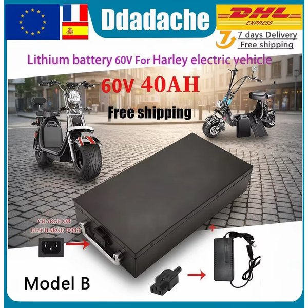 60V 20Ah-100Ah 2000W Lithium-Batterie für Elektrofahrzeuge für Harley Zweirad-Falt-Elektroroller Citycoco mit kostenlosem Ladegerät