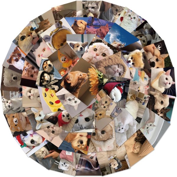 48-teiliges Set Cartoon niedlichen Katze und Hund Graffiti wasserdichte Aufkleber kreative trend ige personal isierte Helm Dekoration Aufkleber