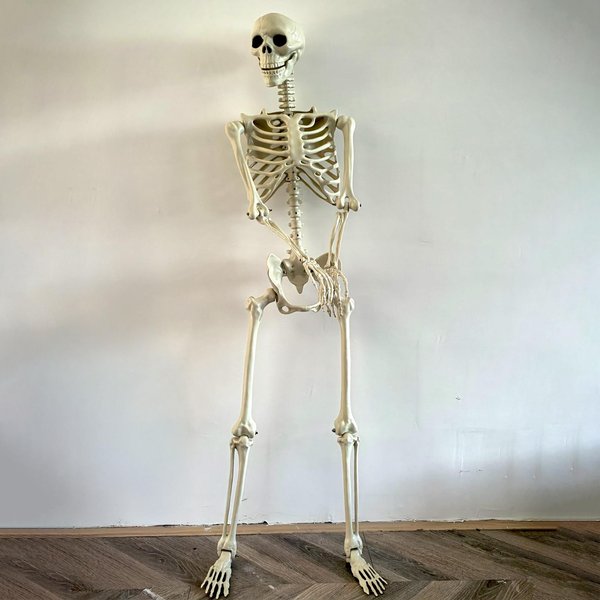 Realistyczny szkielet ludzki na Halloween w naturalnej wielkości z ruchomymi stawami, symulacja czaszki, ozdoba, rekwizyty horroru do nawiedzonego domu.