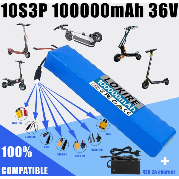 36V 100Ah 18650 10S3P Tragbarer Lithium-Ionen-Akku, Lithium-Ionen-Batteriepack, Ersatzakku, mit BMS 42V2A Ladegerät