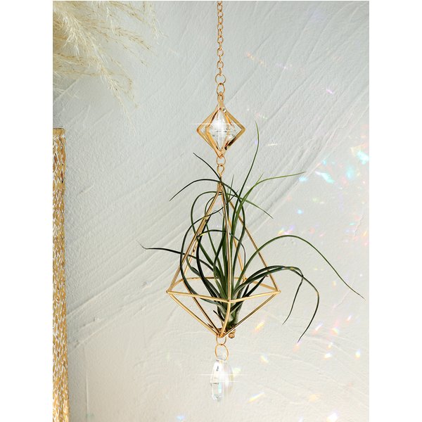 Attrape-soleil de jardin suspendu en or, support pour plantes à Air Tillandsia, présentoir de fougère à Air, jardinière avec décoration de maison en cristal
