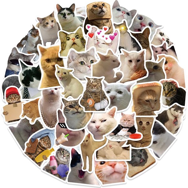 50pcs drôle chat MEME autocollants jouet bricolage enfants cahier moto ordinateur portable bagages réfrigérateur Graffiti mignon animaux décalcomanies enfants jouet