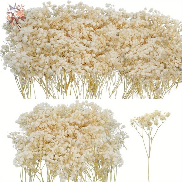 Mini fleur de gypsophile séchée, bricolage, bougie d'aromathérapie, décoration de maison, fleurs éternelles, embelli l'haleine de bébé, cadeau, boîte de 100 pièces