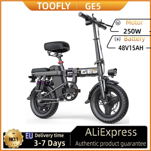 Toofly GE5 250W 48V 15Ah Akku-Elektrofahrrad für Erwachsene 14 Zoll Reifen City-Pendler Herrenfahrrad