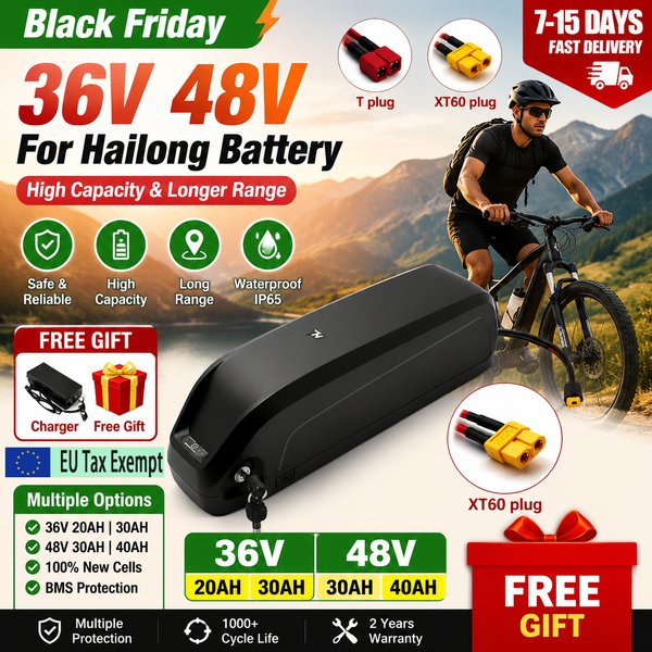 Brandneuer Hochleistungsakku 48V Batterie 36V Hailong Elektrofahrrad Polyester DP-9, BMS 18650 Zelle, Lithium-Ionen-Akku 36V 48V 40AH Langlebig
