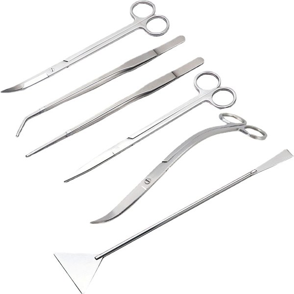 Outils de ciseaux d'aquarium, pincettes pour plantes ondulées, herbes, outils de nettoyage en acier inoxydable, support de rangement, accessoires d'aquarium