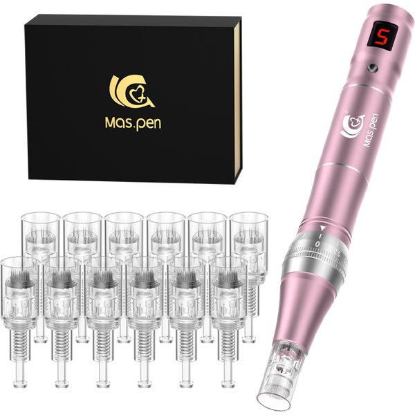 Heimgebrauch Wilreless Ultima Microneedling Pen Professioneller Dermapen mit 12 Tattoo-Nadeln