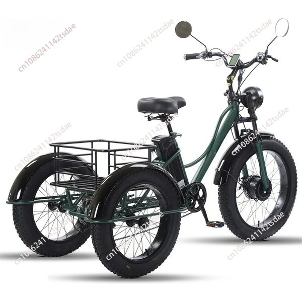 750w 3 Wheels Mountain Electric Bike With Two Seat For Elderly 48V Removable Battery Electric Tricycle Adults Off Road For Man