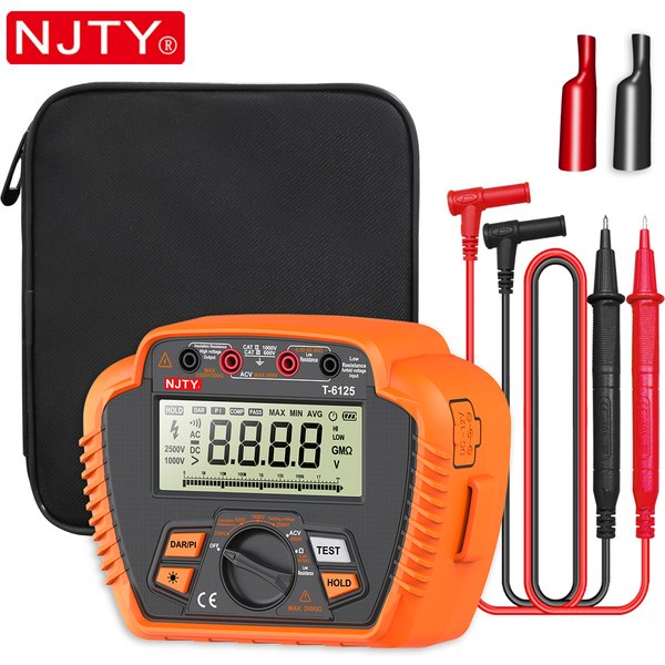 NJTY T6110 T6125 mégohmmètre numérique testeur de résistance d'isolation numérique 1000V/2500V 20GΩ 200GΩ voltmètre industriel