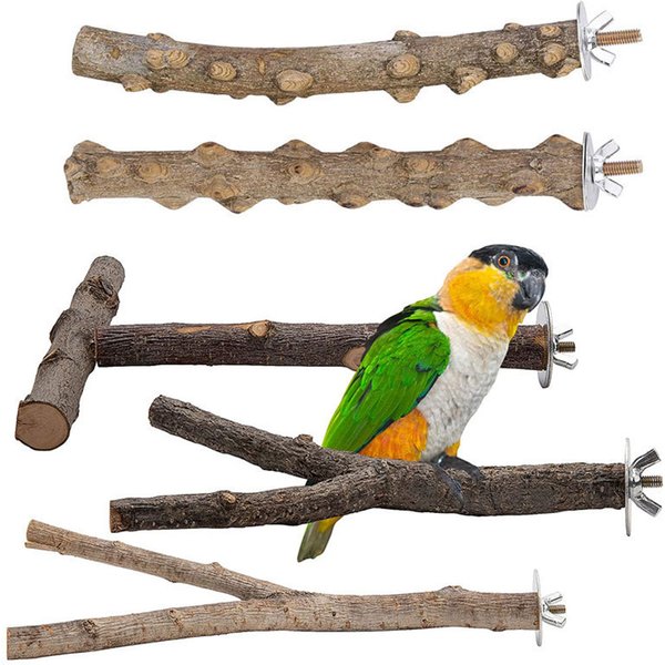 Support pour perroquets en bois naturel, 2/5 pièces, plate-forme de support pour perche à oiseaux, exercice en bois, pattes d'escalade, jouet de meulage, accessoires pour cage à oiseaux