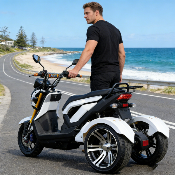Tricycle électrique 70V au plomb-acide | Tricycle électrique pour adultes, taxi tuk-tuk et tricycle électrique économique avec une vitesse maximale de 70 km/h et une autonomie de 65 km