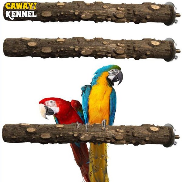 10/15/20 cm Bird Claw Beak Grinding Bar Standing Stick Claw Bird Supplies Cage Accessories Parrot Station Grinding Standing